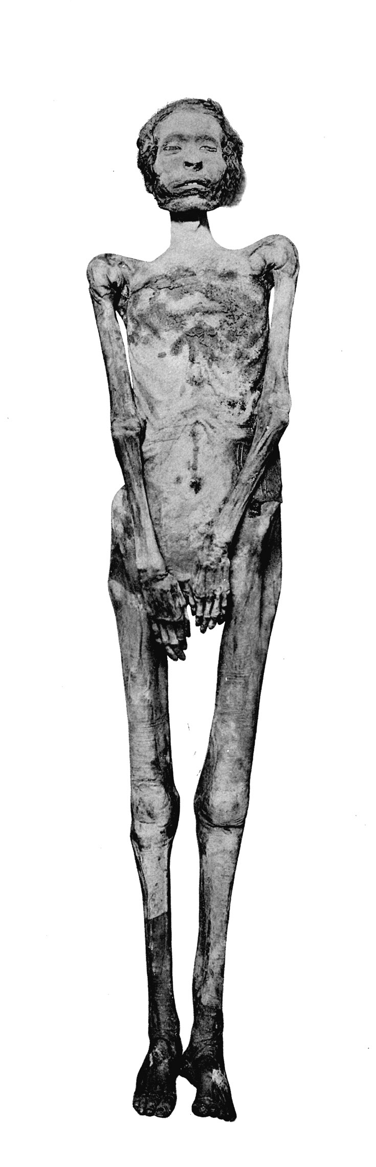 Mummy-of-Djedptahiuefankh-in-the-Egyptian-Museum-Cairo-accession-number-CG-61097.ppm