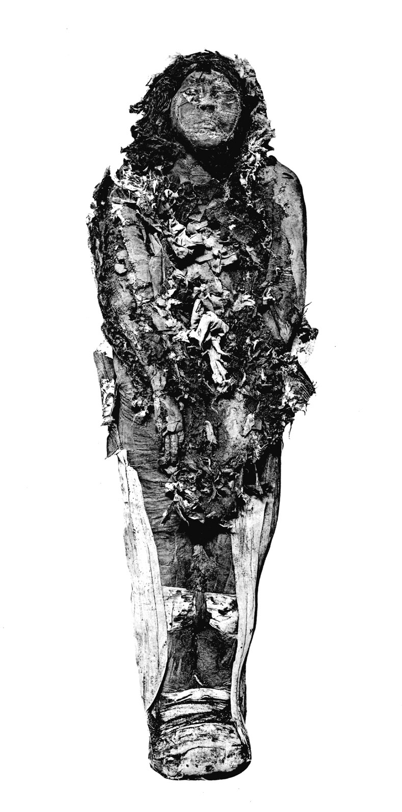 Mummy-of-Maatkare-in-the-Egyptian-Museum-Cairo-accession-number-CG-61088-Twenty-first.ppm